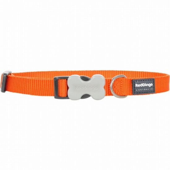 Classic Orange Dog Collar