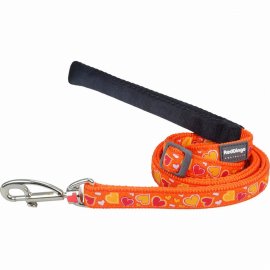 Breezy Love Orange Dog Leash