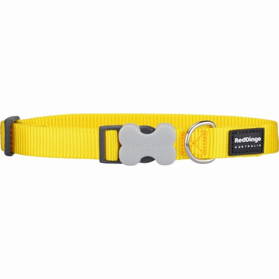 Classic Yellow Dog Collar