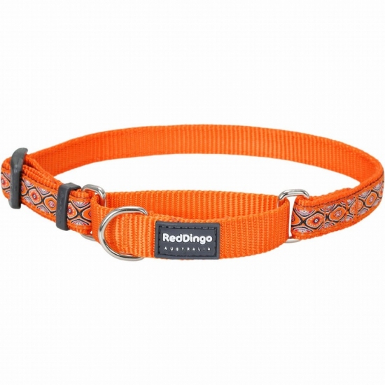 Snake Eyes Orange Martingale