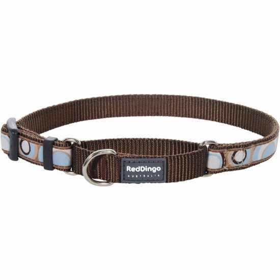 Circadelic Brown Martingale