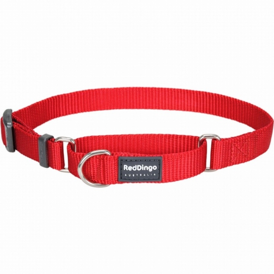 Classic Red Martingale