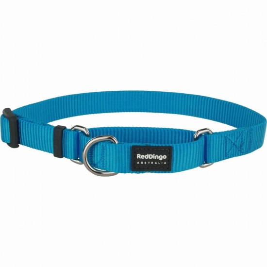 Classic Turquoise Martingale